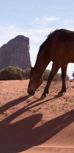 monument valley 007018